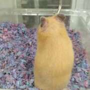 ヒメ日記 2025/08/03 08:13 投稿 香川みか お色気物語（横浜ハレ系）