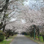 ヒメ日記 2025/04/12 17:54 投稿 桃瀬ありさ 華女(かのじょ) 松山店