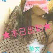 ヒメ日記 2025/04/14 13:50 投稿 桃瀬ありさ 華女(かのじょ) 松山店