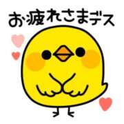 ヒメ日記 2026/03/11 14:00 投稿 飯島さゆり 華女(かのじょ) 松山店