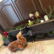 ヒメ日記 2024/12/29 06:14 投稿 まり 神戸3040（神戸サーティフォーティ）