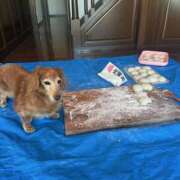 ヒメ日記 2025/01/04 06:14 投稿 まり 神戸3040（神戸サーティフォーティ）