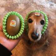 ヒメ日記 2025/01/16 06:14 投稿 まり 神戸3040（神戸サーティフォーティ）