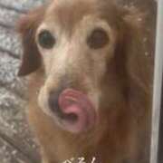 ヒメ日記 2025/02/08 06:04 投稿 まり 神戸3040（神戸サーティフォーティ）