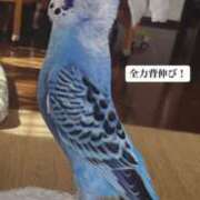 ヒメ日記 2025/02/23 06:04 投稿 まり 神戸3040（神戸サーティフォーティ）