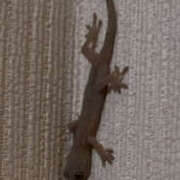 ヒメ日記 2025/04/10 06:04 投稿 まり 神戸3040（神戸サーティフォーティ）