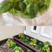 ヒメ日記 2025/04/25 06:01 投稿 まり 神戸3040（神戸サーティフォーティ）