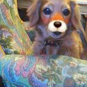 ヒメ日記 2025/05/02 06:04 投稿 まり 神戸3040（神戸サーティフォーティ）