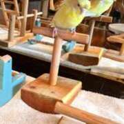 ヒメ日記 2025/06/16 06:04 投稿 まり 神戸3040（神戸サーティフォーティ）