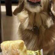 ヒメ日記 2025/08/30 10:24 投稿 まり 神戸3040（神戸サーティフォーティ）