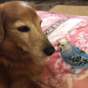 まり おはようございます 神戸3040（神戸サーティフォーティ）