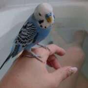 ヒメ日記 2025/12/10 05:54 投稿 まり 神戸3040（神戸サーティフォーティ）