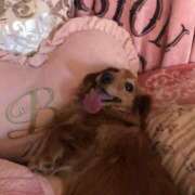 ヒメ日記 2026/03/23 06:04 投稿 まり 神戸3040（神戸サーティフォーティ）