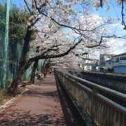 ヒメ日記 2025/04/10 17:05 投稿 未来 新宿人妻城