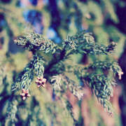 ヒメ日記 2025/03/27 17:42 投稿 近藤　さら(こんどう　さら) 夢(姫路)