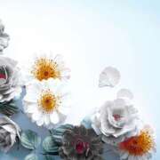 ヒメ日記 2025/10/16 20:36 投稿 近藤　さら(こんどう　さら) 夢(姫路)