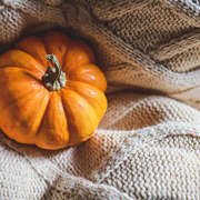 ヒメ日記 2025/12/04 19:16 投稿 近藤　さら(こんどう　さら) 夢(姫路)