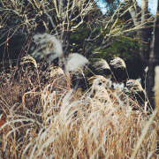 ヒメ日記 2025/12/10 10:18 投稿 近藤　さら(こんどう　さら) 夢(姫路)