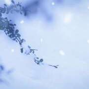 ヒメ日記 2026/01/14 21:52 投稿 近藤　さら(こんどう　さら) 夢(姫路)