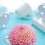 ヒメ日記 2025/03/01 18:30 投稿 桜井　さき(さくらい　さき) 夢(姫路)