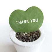 ヒメ日記 2025/12/27 18:06 投稿 桜井　さき(さくらい　さき) 夢(姫路)