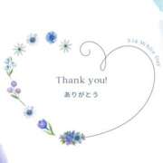 ヒメ日記 2026/06/19 18:02 投稿 桜井　さき(さくらい　さき) 夢(姫路)