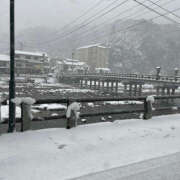 ヒメ日記 2025/02/18 07:08 投稿 滝沢　楓(たきざわ　かえで) 夢(姫路)