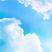 ヒメ日記 2025/02/26 08:50 投稿 滝沢　楓(たきざわ　かえで) 夢(姫路)