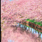 ヒメ日記 2025/03/28 07:10 投稿 滝沢　楓(たきざわ　かえで) 夢(姫路)