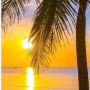 ヒメ日記 2025/05/15 07:08 投稿 滝沢　楓(たきざわ　かえで) 夢(姫路)