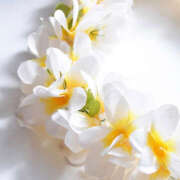 ヒメ日記 2025/05/20 07:08 投稿 滝沢　楓(たきざわ　かえで) 夢(姫路)