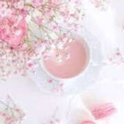 ヒメ日記 2025/06/05 08:08 投稿 滝沢　楓(たきざわ　かえで) 夢(姫路)