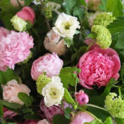 ヒメ日記 2025/06/12 08:08 投稿 滝沢　楓(たきざわ　かえで) 夢(姫路)