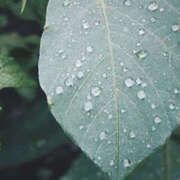 ヒメ日記 2025/06/25 08:06 投稿 滝沢　楓(たきざわ　かえで) 夢(姫路)