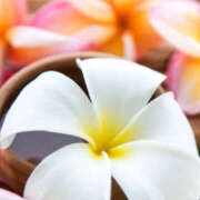 ヒメ日記 2025/07/05 08:06 投稿 滝沢　楓(たきざわ　かえで) 夢(姫路)