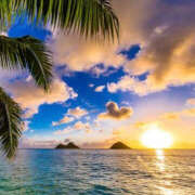 ヒメ日記 2025/07/16 08:08 投稿 滝沢　楓(たきざわ　かえで) 夢(姫路)