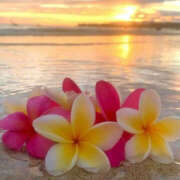 ヒメ日記 2025/07/18 08:06 投稿 滝沢　楓(たきざわ　かえで) 夢(姫路)