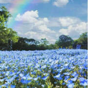 ヒメ日記 2025/08/28 08:06 投稿 滝沢　楓(たきざわ　かえで) 夢(姫路)