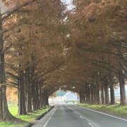 ヒメ日記 2025/11/27 08:06 投稿 滝沢　楓(たきざわ　かえで) 夢(姫路)