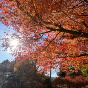 ヒメ日記 2025/12/10 07:56 投稿 滝沢　楓(たきざわ　かえで) 夢(姫路)