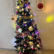 ヒメ日記 2025/12/16 08:08 投稿 滝沢　楓(たきざわ　かえで) 夢(姫路)