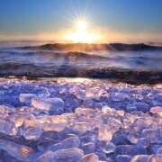 ヒメ日記 2025/02/01 10:40 投稿 さくら　有紀(さくら　ゆき) 夢(姫路)