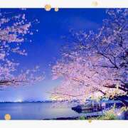 ヒメ日記 2025/04/05 06:03 投稿 さくら　有紀(さくら　ゆき) 夢(姫路)