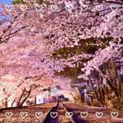 ヒメ日記 2025/04/07 19:32 投稿 さくら　有紀(さくら　ゆき) 夢(姫路)