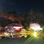 ヒメ日記 2025/04/25 06:06 投稿 さくら　有紀(さくら　ゆき) 夢(姫路)