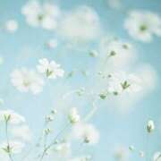 ヒメ日記 2025/05/26 18:54 投稿 さくら　有紀(さくら　ゆき) 夢(姫路)