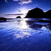 ヒメ日記 2025/05/31 08:08 投稿 さくら　有紀(さくら　ゆき) 夢(姫路)