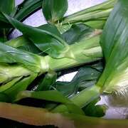 ヒメ日記 2025/06/14 20:52 投稿 さくら　有紀(さくら　ゆき) 夢(姫路)