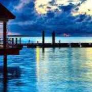 ヒメ日記 2025/06/19 00:40 投稿 さくら　有紀(さくら　ゆき) 夢(姫路)