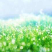 ヒメ日記 2025/06/25 23:52 投稿 さくら　有紀(さくら　ゆき) 夢(姫路)